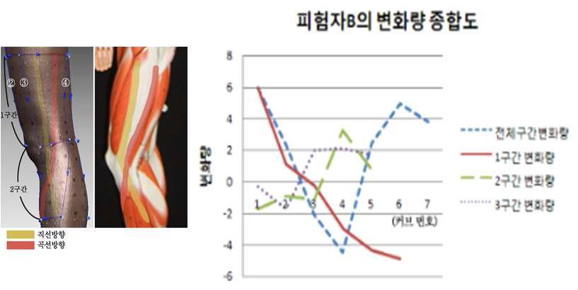 피험자A의 피부무변형 선(LoNE) 및 관측구간에 따른 피부변화량 무변형선의 갯수변화