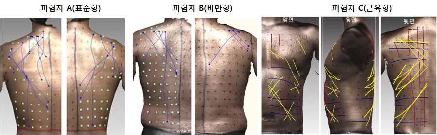 피험자 상체 피부 무변형선 중합도(Ergonomic Mapping)