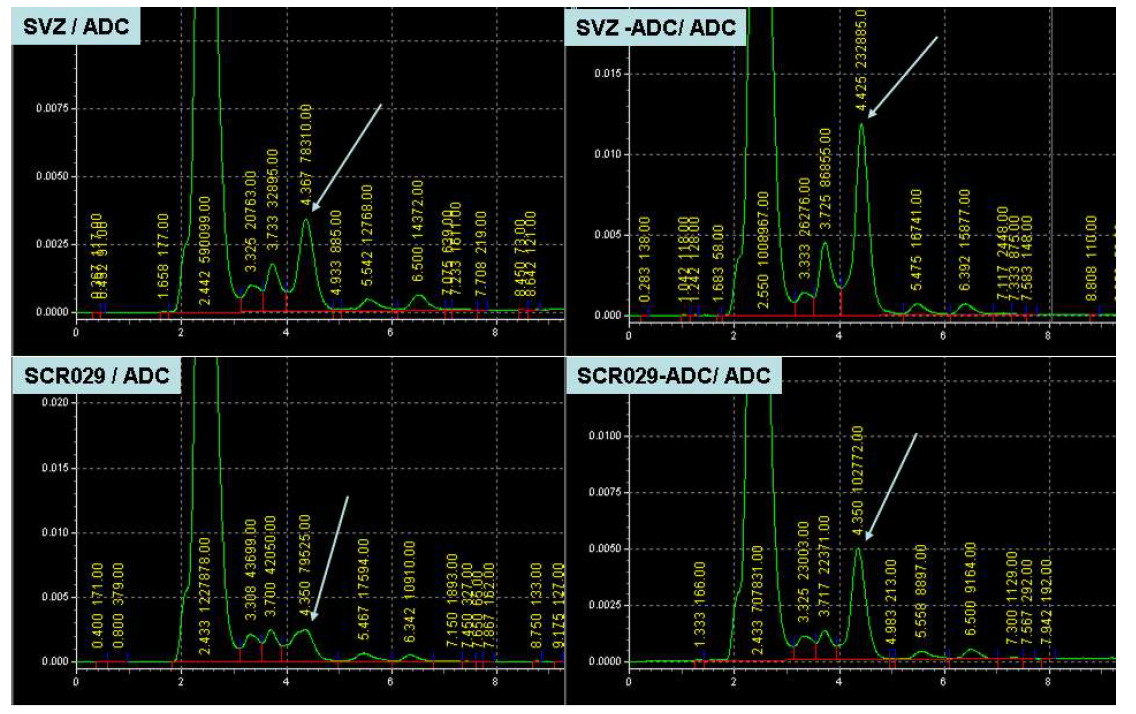 아그마틴의 HPLC 분석