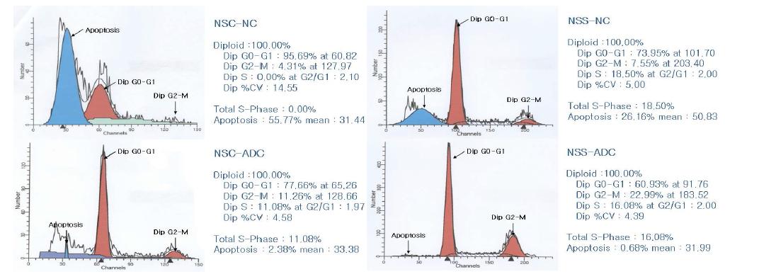 The cell cycle of ADC overexpressed NS cells and normal NS cells