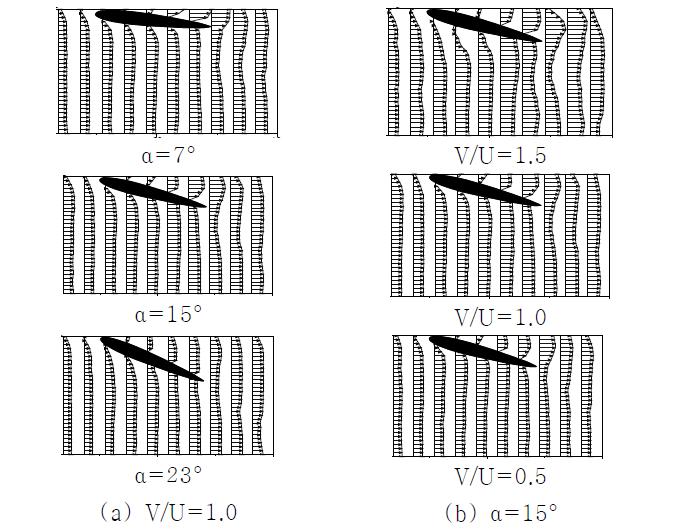 Velocity profile around wing with α and V/U at the closing stage