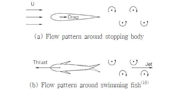 Comparison between flow patterns around stopping body and swimming fish