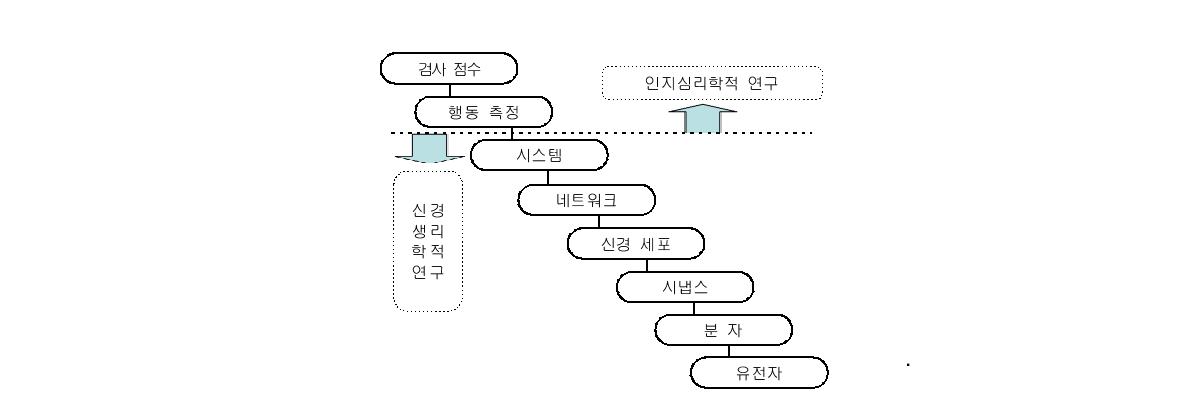 교육연구의 다중적 분석 수준(Ansari & Coch, 2006)