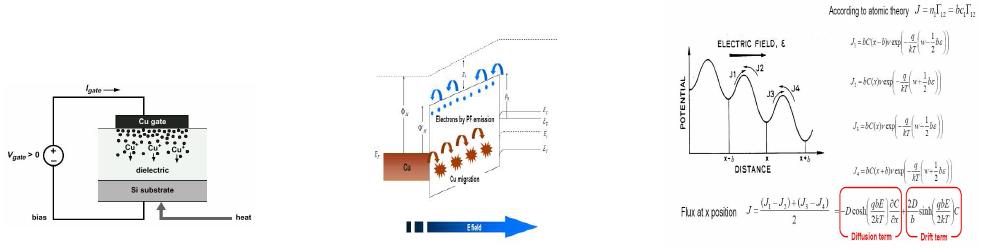 Cu migration에 의한 Leakage current density와 Current Flux