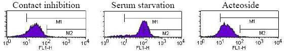 Histograms of ROS of canine fetal fibroblasts