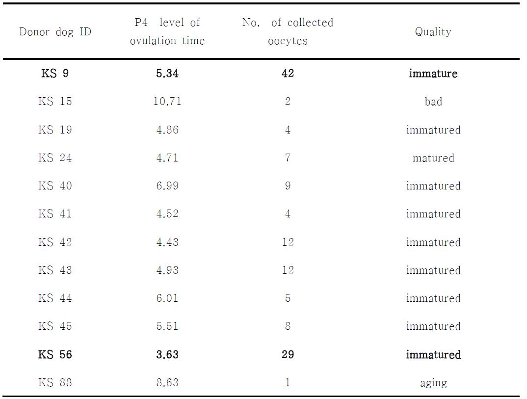 Effect of superovulation in proestrus bitch.