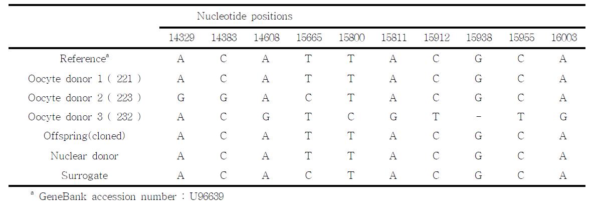 mtDNA 분석 결과