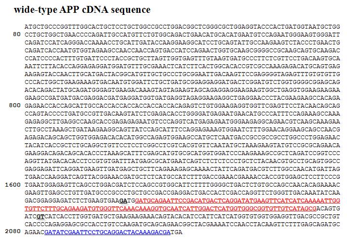 Cloning of APPwild-type gene from human cDNA library.