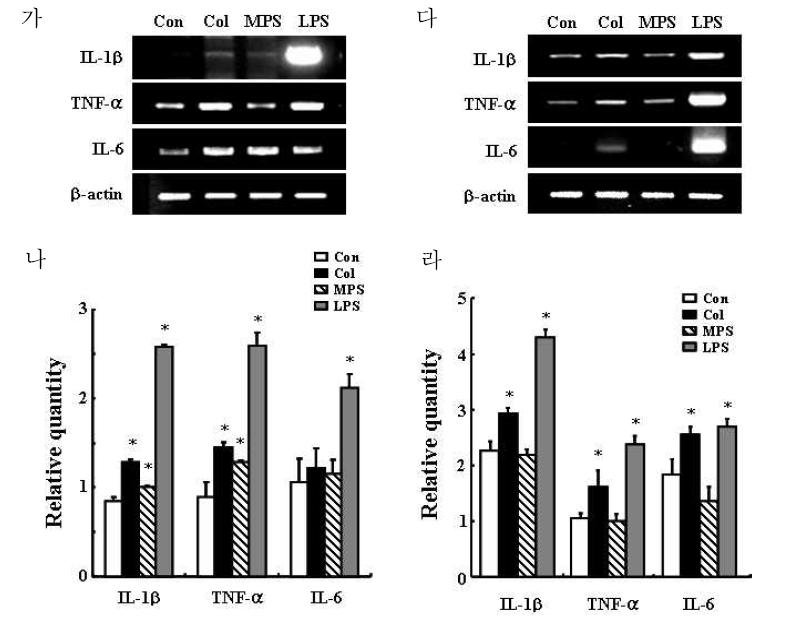 염증유발 사이토카인 발현분석