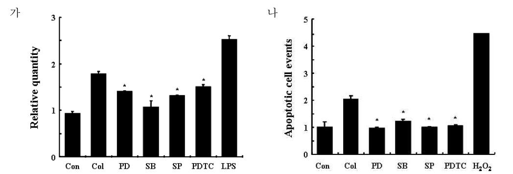 Specific inhibitors의 나노물질에 의해 유도된 독성에 미치는 영향