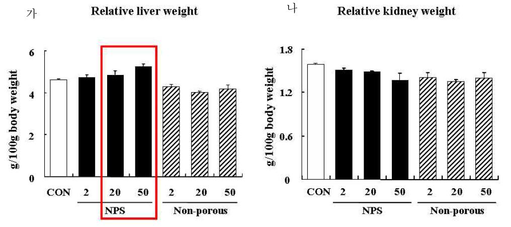실리카 나노입자 투여 후 간 (가)과 신장 (나)의 무게 변화