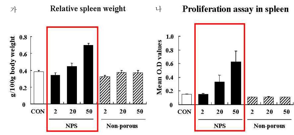 실리카 나노입자 투여농도에 따른 비장의 무게변화 (가) 및 splenocyte 증식변화 (나)