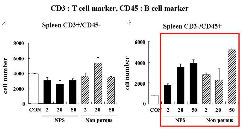 BALB/c female mice 비장 내의 림프구 분포변화