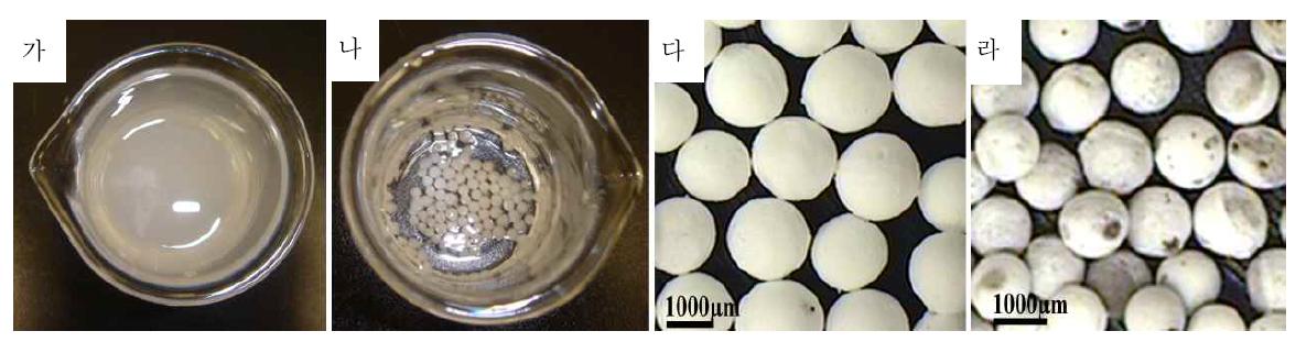 생체활성유리 볼의 주형 종류에 따른 클로로포름 용매 내 반응 비교; 가. P123, 나. F108 및 F108볼의 소성 전(다), 후 (라)의 형상 비교