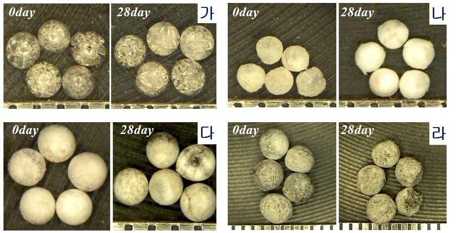 기공구조 특성에 따른 생분해성 평가 전과 28일 후 생체활성유리 볼의 외관 형상 변화비교