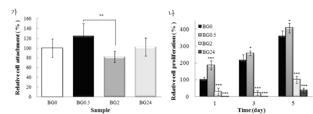 다공성 생체활성유리 볼의 기공구조변화에 따른 초기세포부착 (가)과 증식거동 (나) 비교