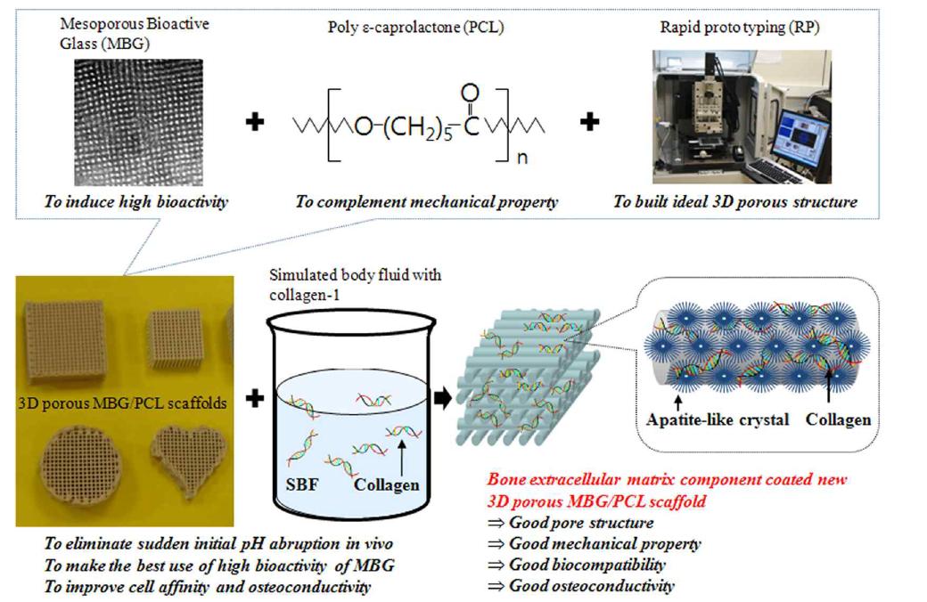 나노다공성 생체활성유리의 생체활성을 이용한 골기질성분의 지지체 표면코팅