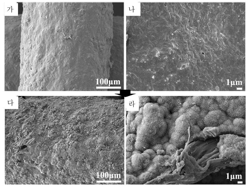 공침법에 의한 골기질 성분 코팅 전 (가, 나), 후 (다, 라)의 지지체 표면