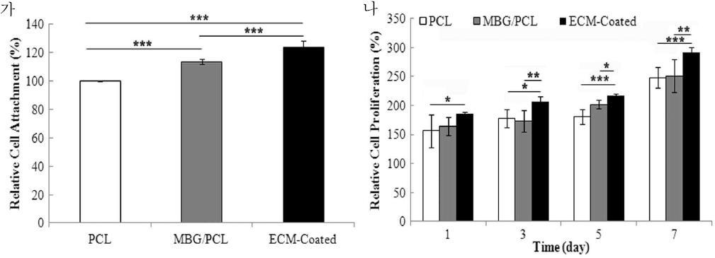 지지체 표면물성에 따른 초기 세포부착 (가) 및 증식률 (나) 비교