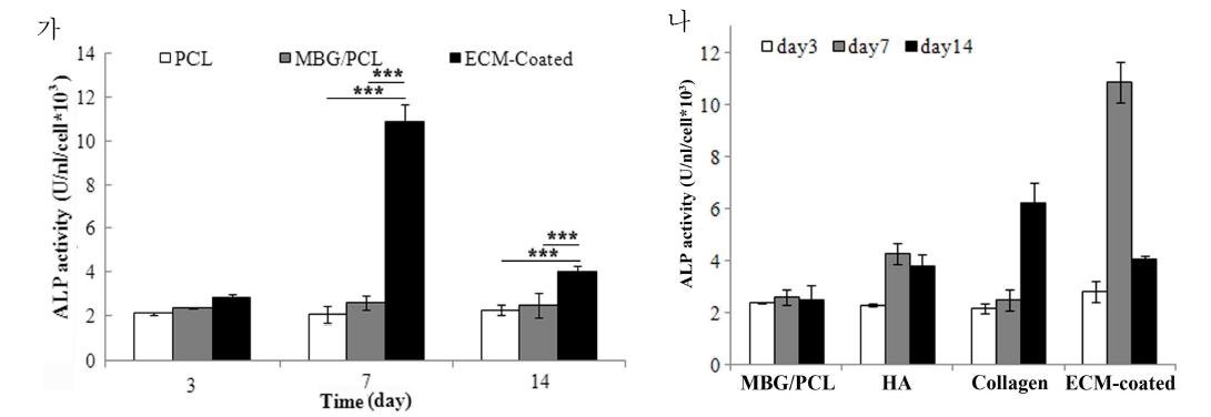 지지체 표면 물성에 따른 초기 분화거동 비교 (ALP activity)