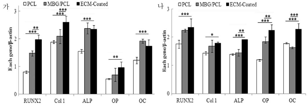 지지체 표면 물성에 따른 골세포분화 유전자 발현양상 비교; 가. 4일차, 나. 7일차
