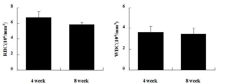골기질 성분이 코팅된 MBG-PCL 지지체의 적혈구, 백혈구 수치변화