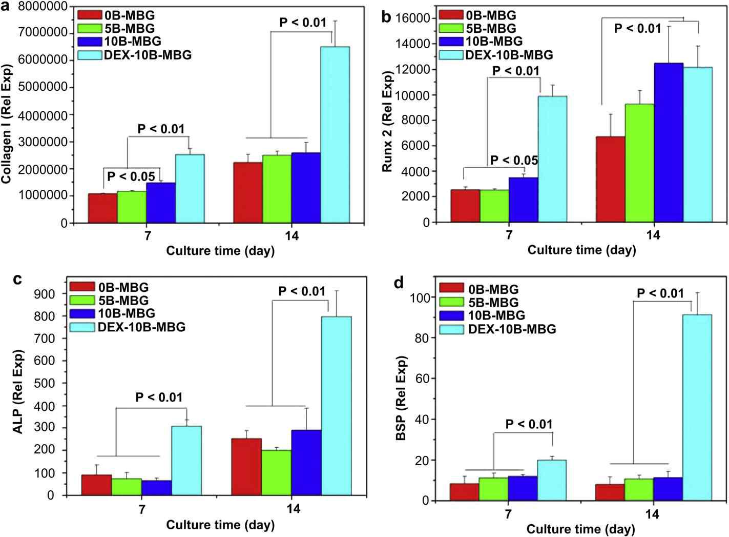 The bone-relative gene expression of Collagen I (a), Runx2 (b), ALP (c) and BSP (d) for osteoblasts by RT-qPCR. The incorporation of 10% of B into MBG scaffolds enhanced the expression of Collagen I (at day 7) and Runx2 (at day 7 and 14). DEX-loaded B-MBG scaffolds significantly enhanced the expression of Collagen I, Runx2, ALP and BSP of osteoblasts, compared non-DEX-loaded B-MBG scaffolds