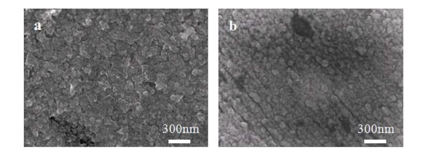 (a) 1M LiPF6/EC:EMC과 (b) 1M LiTFSI/MPP-TFSI에서 싸이클 후 SiO1.3 박막전극의 SEM 표면 이미지