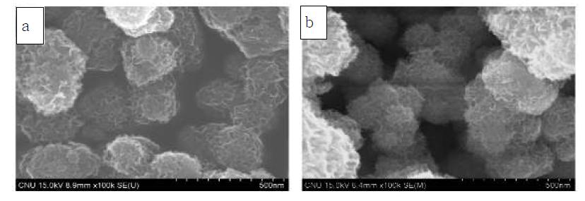 (a) NaOH pH=10에서 수열합성한 H2Ti4O9·H2O, (b) 수열합성 후 400 °C, 4h 열처리 한 후 SEM 이미지