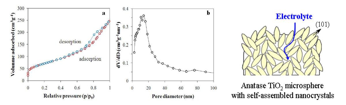 NH4OH, pH=7에서 수열합성한 anatase TiO2 입자의 (a) N2 adsorption-desorption 등온선, (b) pore size distibution