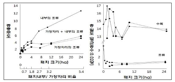 패치크기가 종풍부도에 미치는 영향