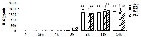 하이드로퀴논은 시간별로 IL-6의 분비를 억제시킨다.