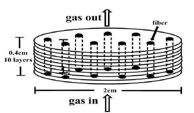 Schematic diagram of the preform