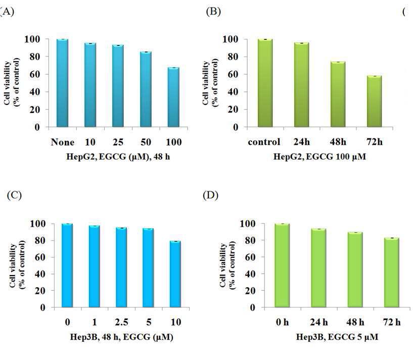 Effects of EGCG on cell viability in HepG2 and Hep3B hepato-carcinoma cells2 ) 간암세포주에서 EGCG의 ap염앞색선 및실 H험o에ec서hs tE3G33C4G2의 염 세색포을증