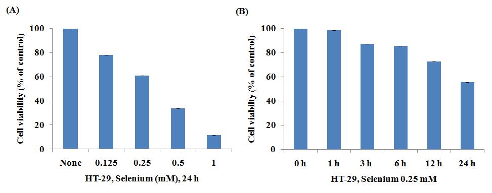 The effects of selenium on cell proliferation in HT-29 cells