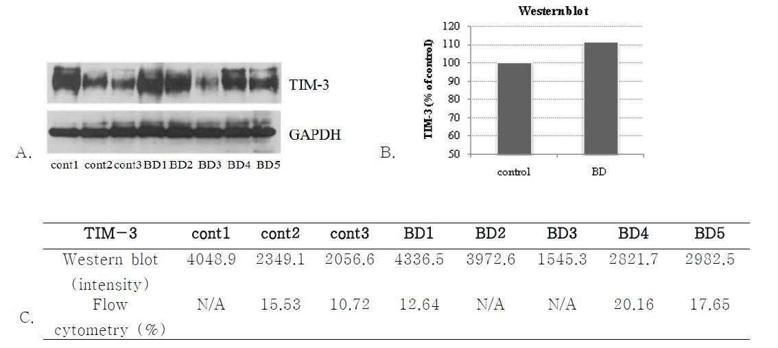 A. Human TIM-3 protein expression was confirmed by Western blot analysis with anti-Tim-3 polyclonal antibody. B. The mean value of TIM-3 protein in BD patients was expressed by % of controls. C. Expression of TIM-3 molecule by flowcytometry and relative amount of TIM-3 protein by Western blot was summarized.
