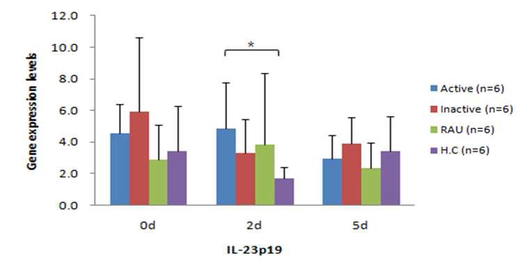 Relative mRNA expression of IL-23p19 in the PBMCs.