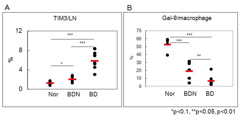 The expression of Tim3 and TIM3 ligand (Galectin-9) in BD mice.