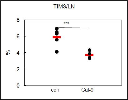 Gal-9 treatment down-regulated the expression of TIM3 in BD mice.