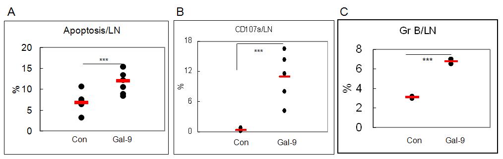 Gal-9 treatment increased cell death-related molecules in BD mice.