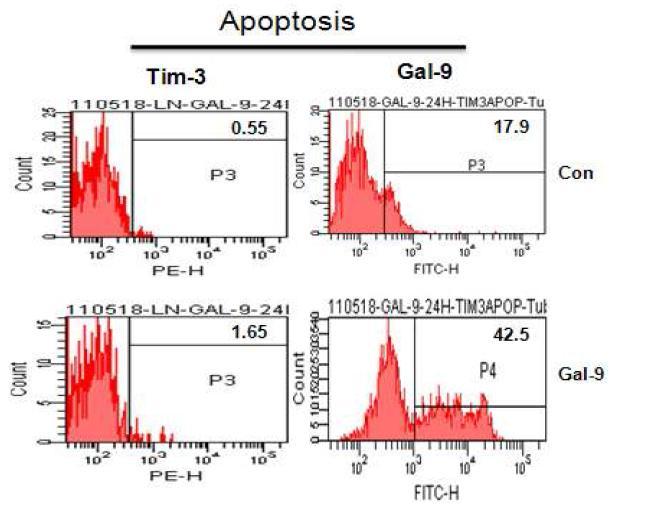 The Annexin V+ and PI- apoptotic cells were analyzed after stained with anti-Tim-3 Ab or anti-Gal-9 Ab for the frequencies of Tim-3+ or Gal-9+ cells in the apoptotic cells.