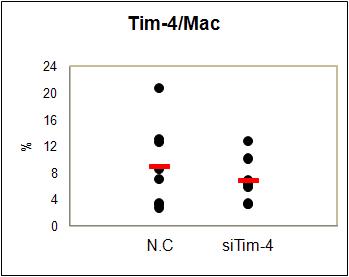 The frequencies of Tim4+ macrophages at 7 days after Tim4 siRNA injection in BD mice