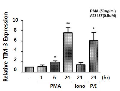 TIM-3 mRNA was increased in Jurkat T cells and HMC-1 cells stimulated with PMA and A23187.