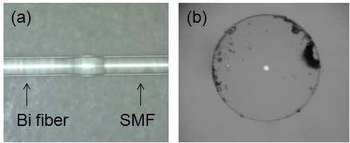 (a) 아크 융착접속법에 의하여 일반 실리카 SMF 와 연결된 본 연구에서 개발돤 Bi 광섬유의 광연결부위사진, (b) 두번의 rod in tube 인출기술로 제작된 Bi 광섬유의 단면사진