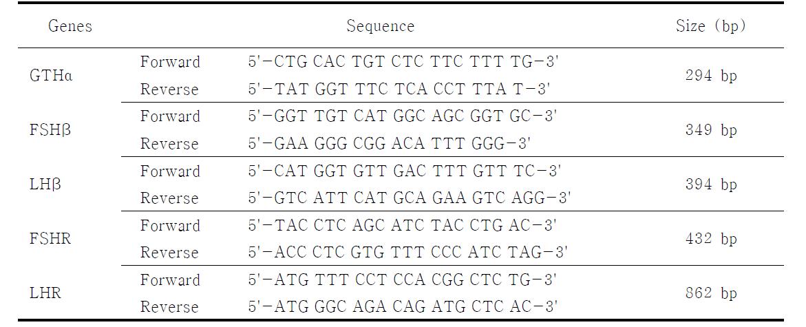 Primers for RT-PCR