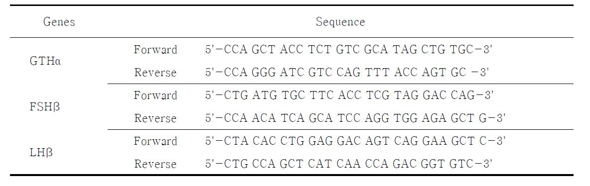 Primers for RACE PCR