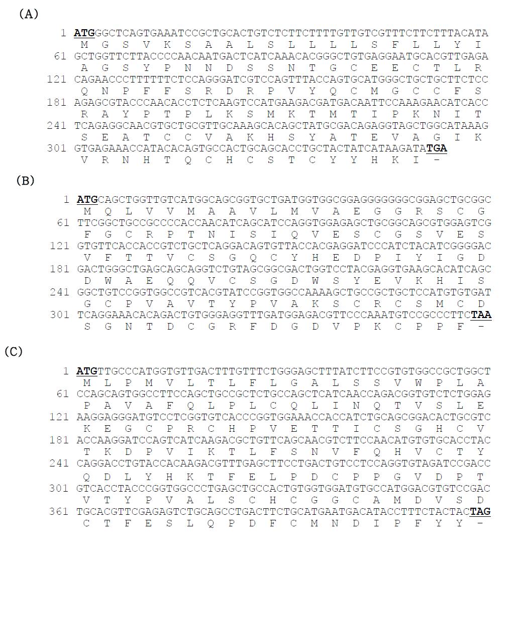 Full-length cDNA and deduced amino acid residue sequence of GTHα (A), FSHβ (B) and LHβ (C) in cinnamon clownfish.