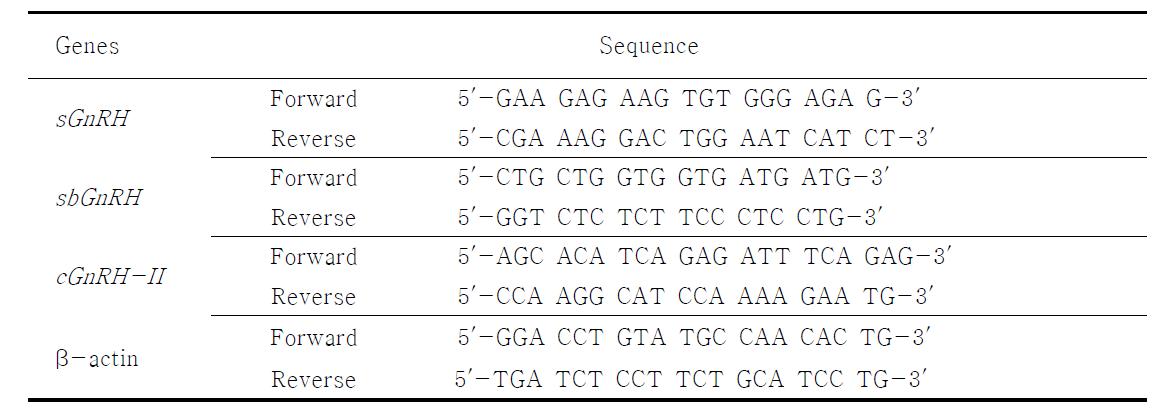 Primers for QPCR.