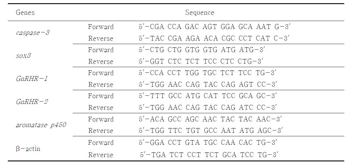 Primers for QPCR.