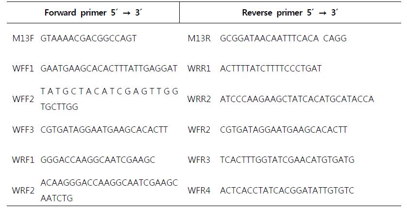 Sequencing primer. cDNA sequencing used WF and WR serise primer, and genomic DNA sequencing used WiF and WiR serise primer.
